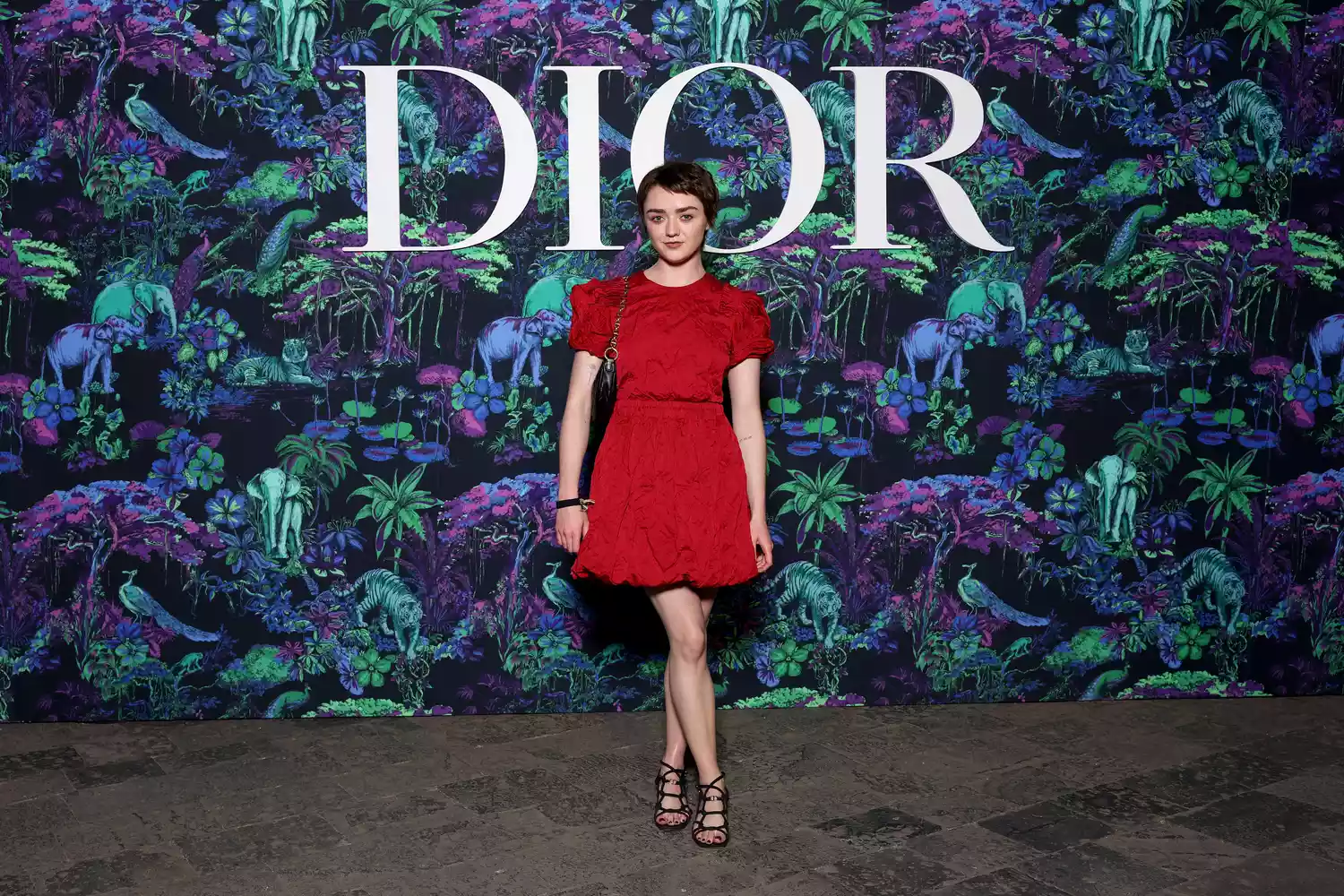 Dior Mumbai Show